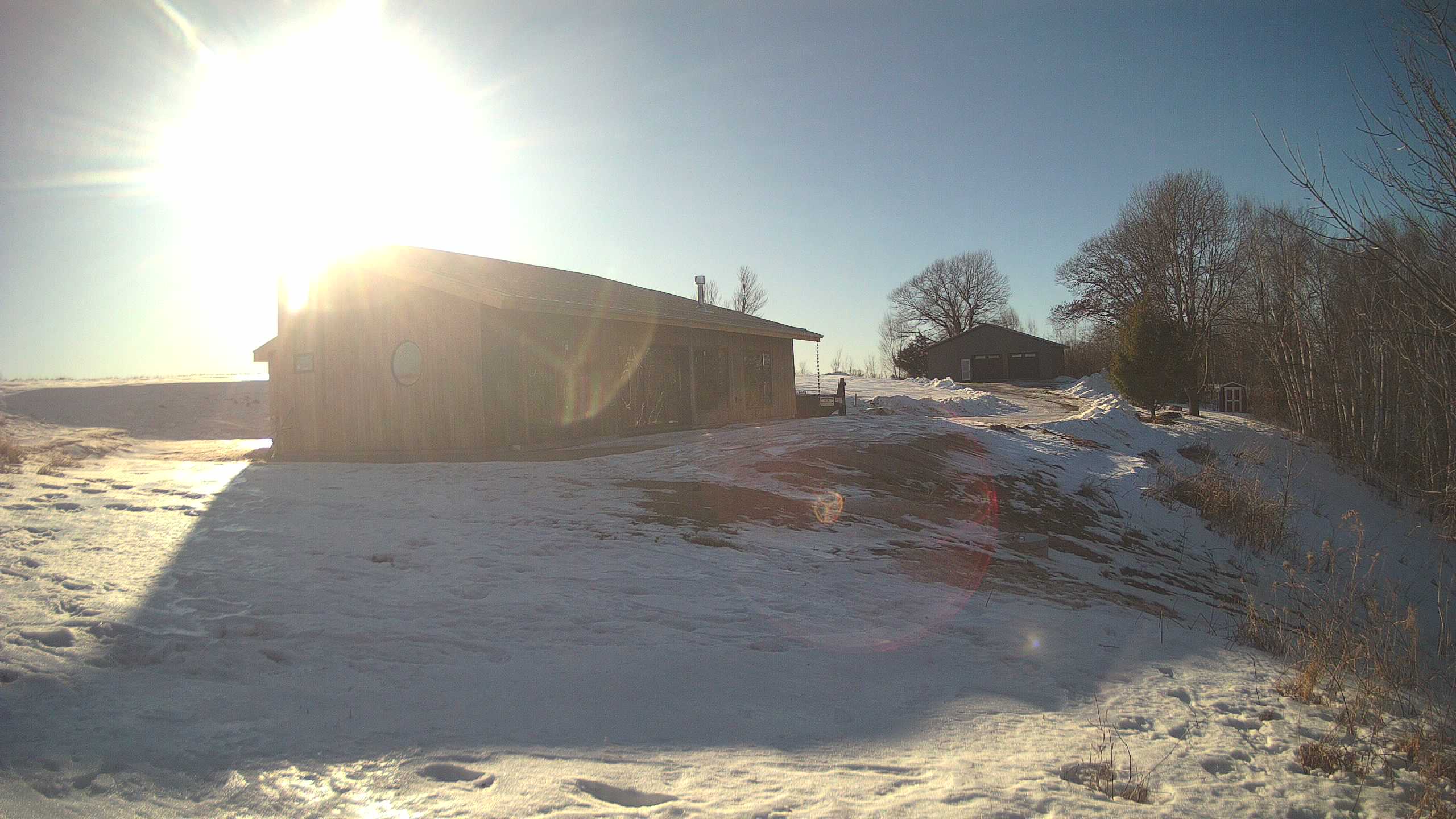 A photo from the field camera