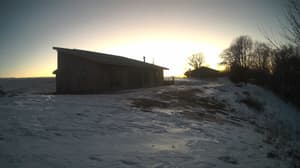 A newer photo from the camera