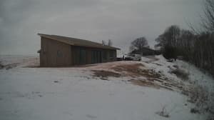 An older photo from the camera