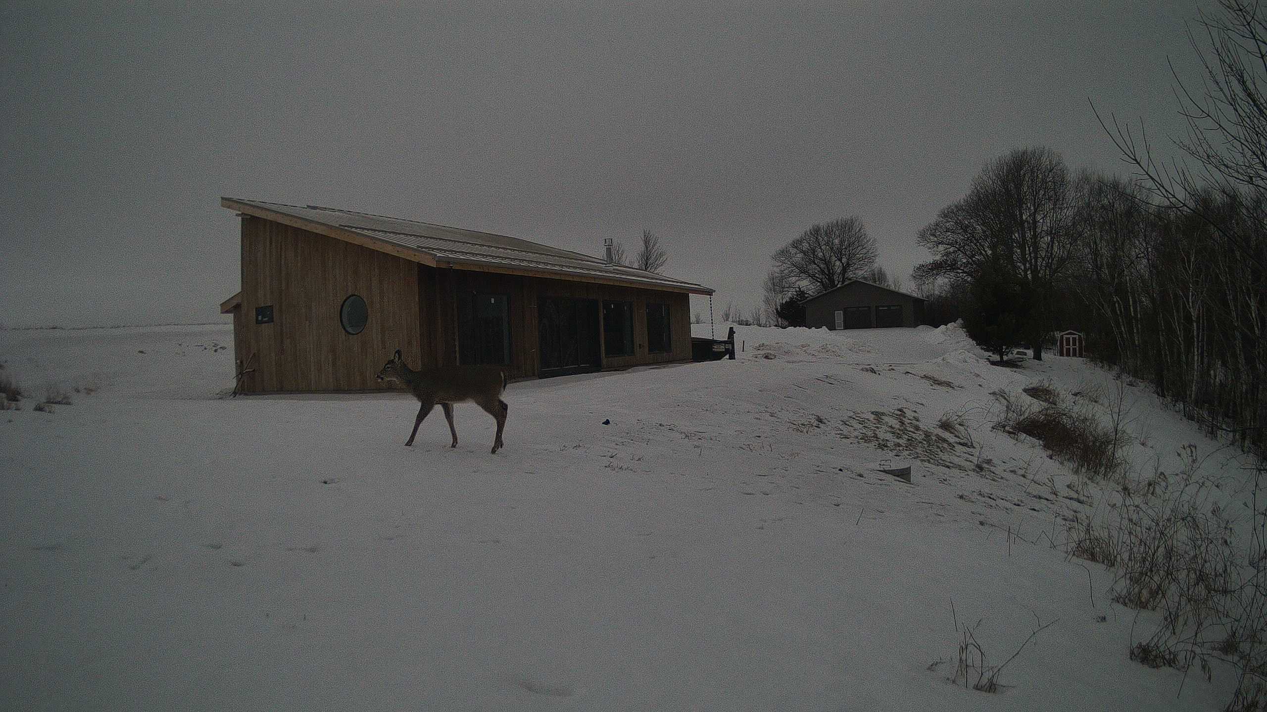 A photo from the field camera
