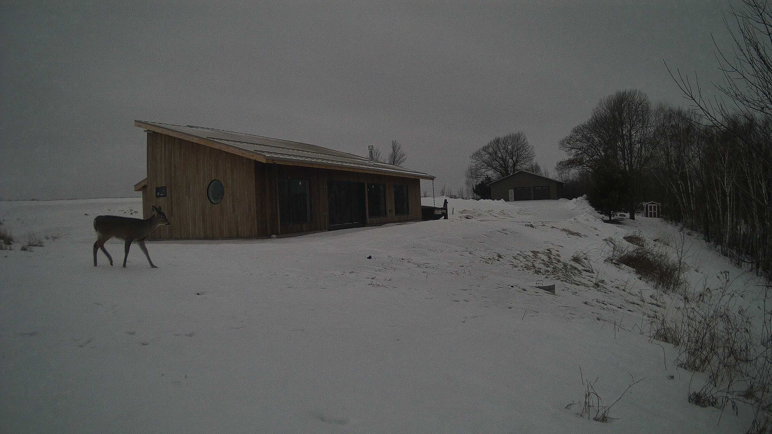 A photo from the field camera