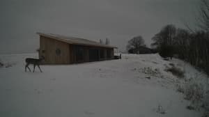 Currently viewing photo