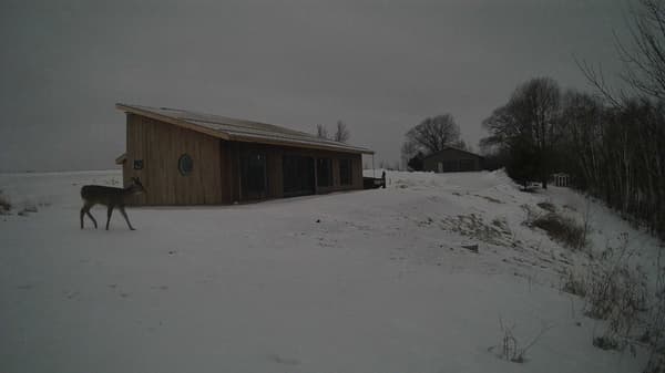 The field cam, Jan 16, 2026 at 7:57am