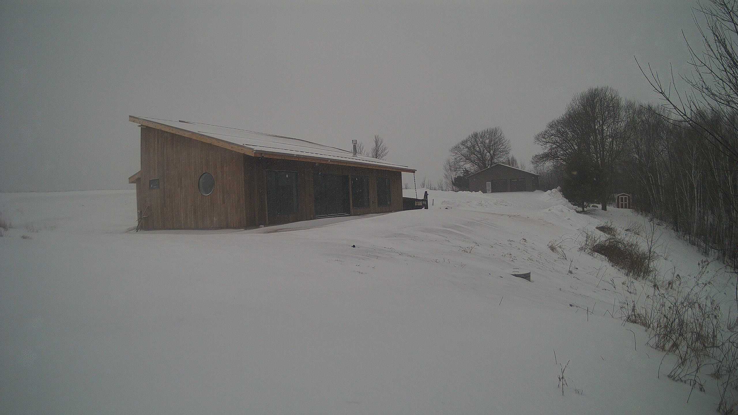 A photo from the field camera