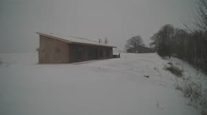 A newer photo from the camera