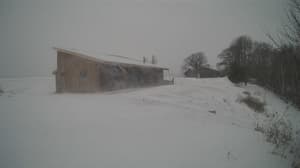 A newer photo from the camera