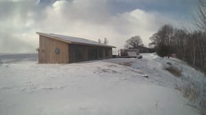 A newer photo from the camera