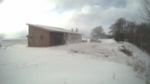 A newer photo from the camera