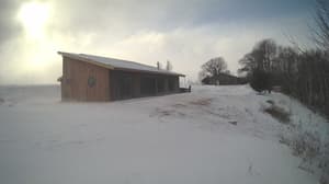 An older photo from the camera