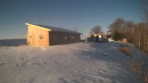 Currently viewing photo