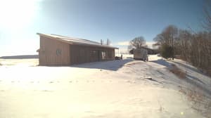 A newer photo from the camera