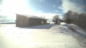 An older photo from the camera