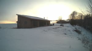 A newer photo from the camera