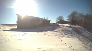 A newer photo from the camera