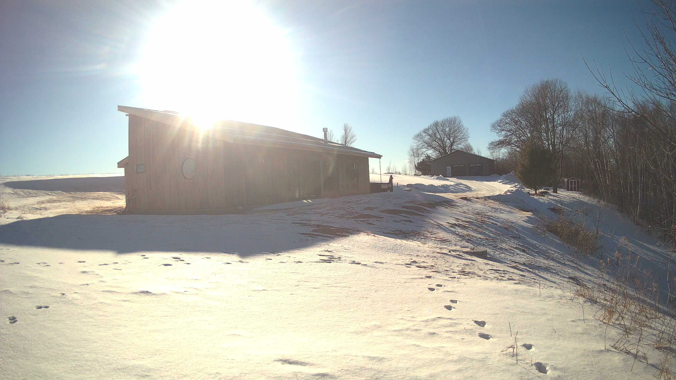 A photo from the field camera