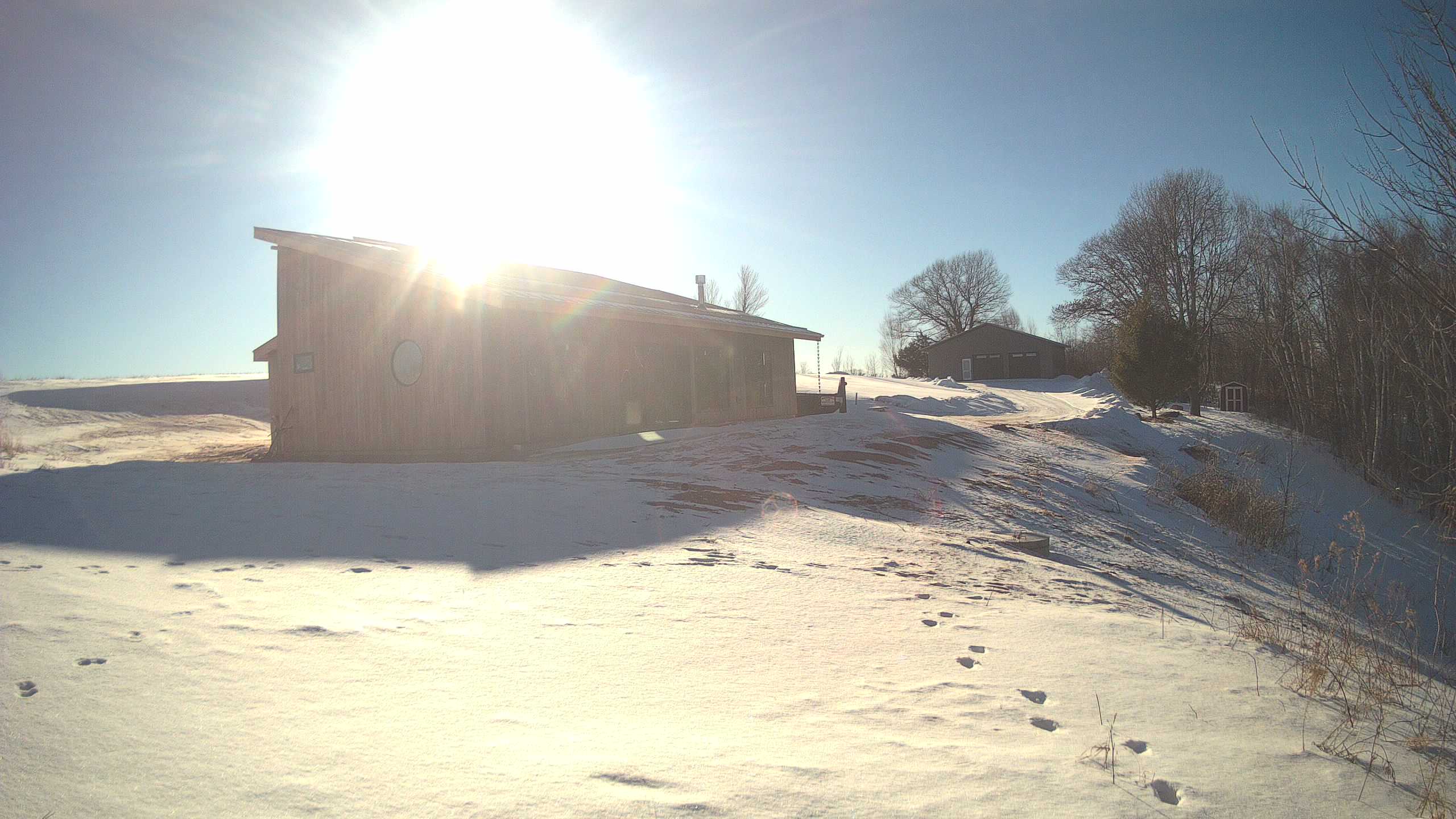 A photo from the field camera