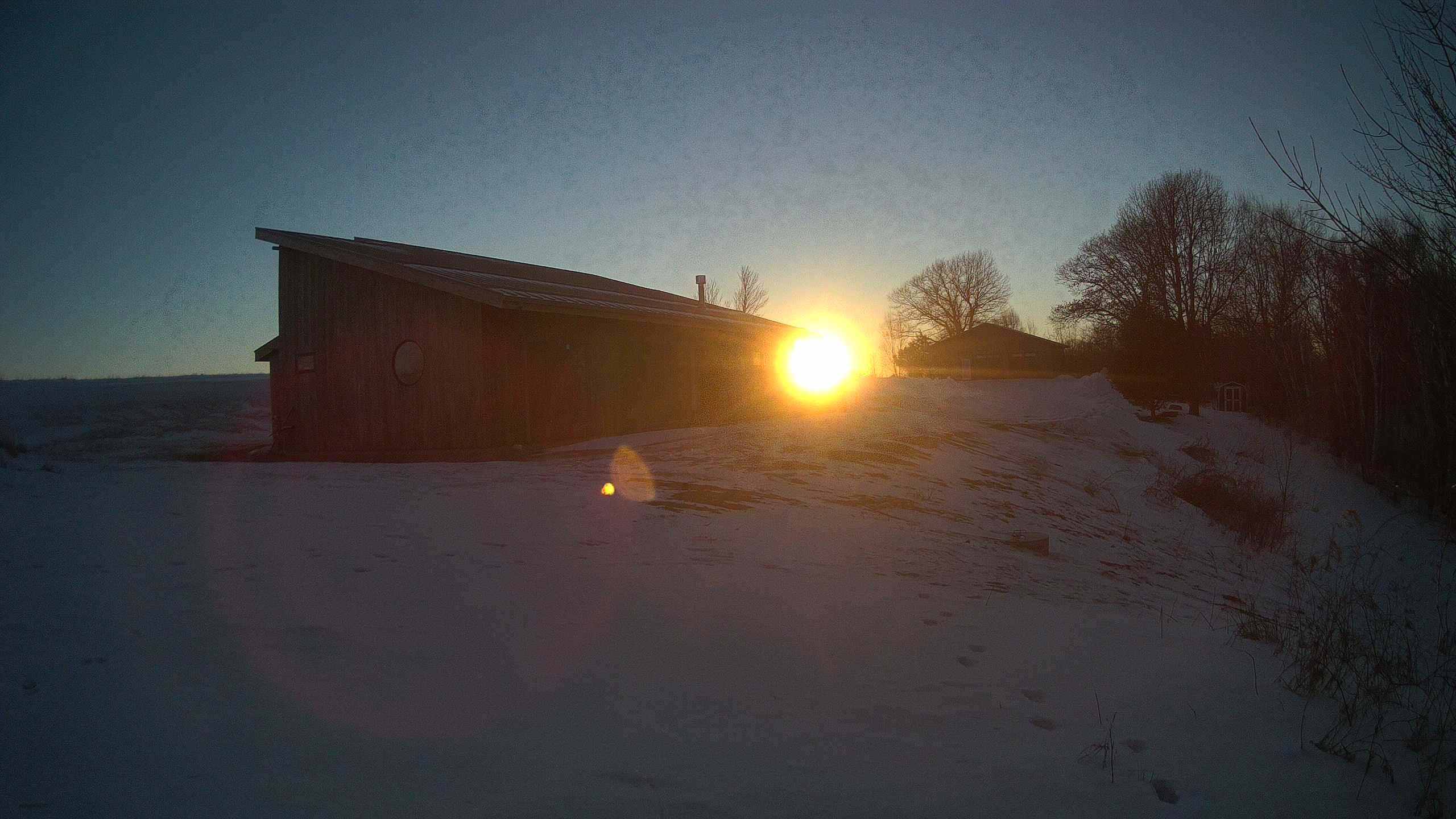 A photo from the field camera