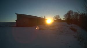 An older photo from the camera