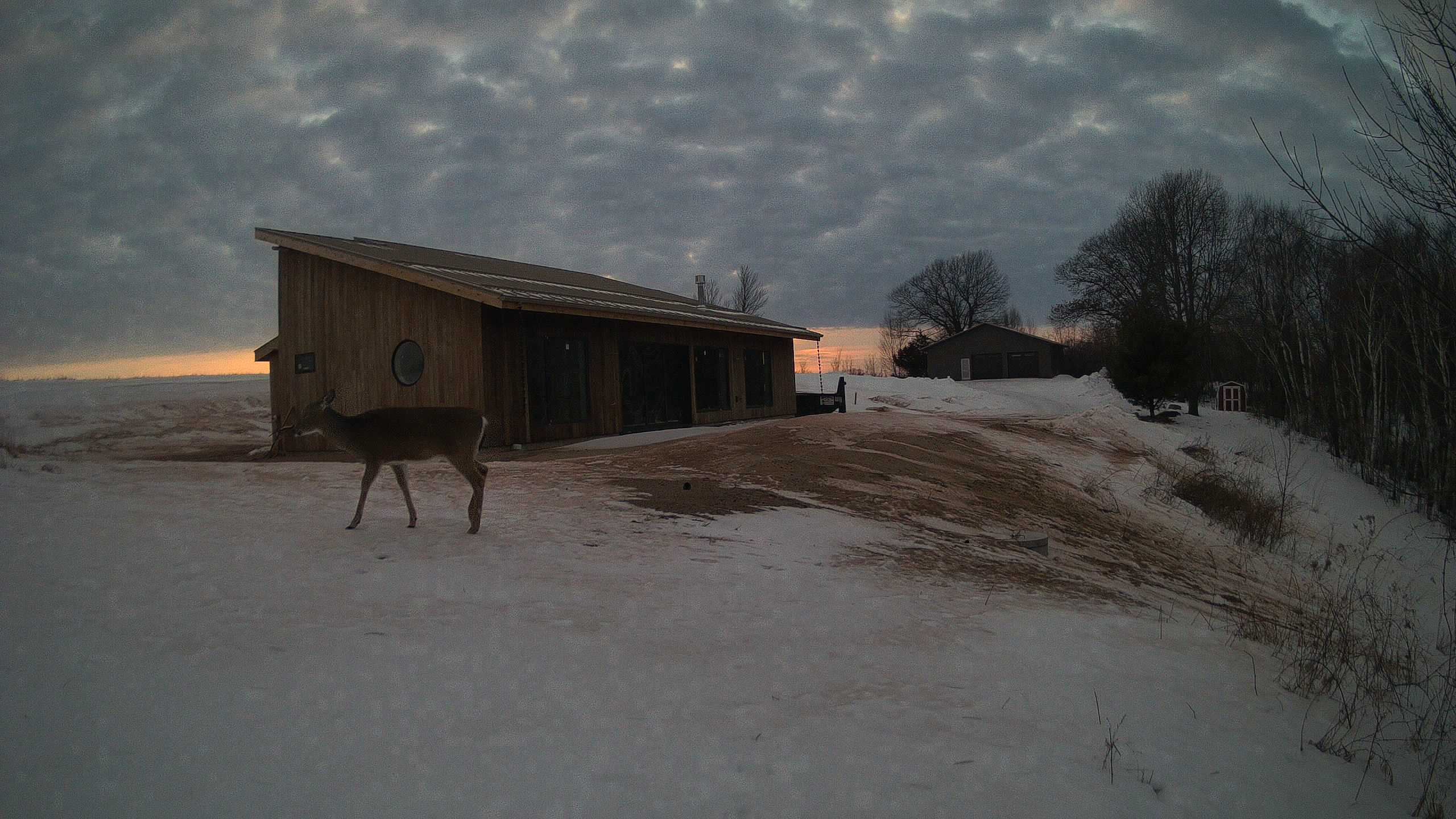 The field cam, Feb 8, 2026 at 2:50pm