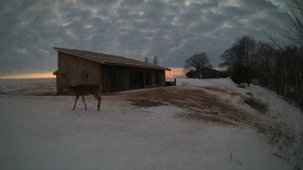 The field cam, Feb 8, 2026 at 2:50pm