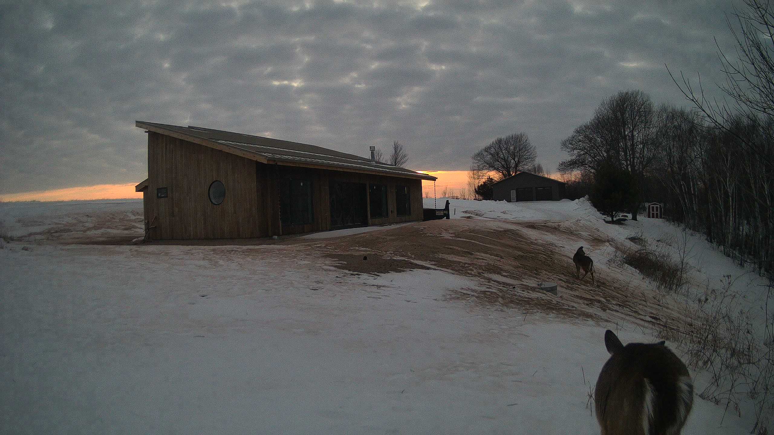 The field cam, Feb 8, 2026 at 2:54pm