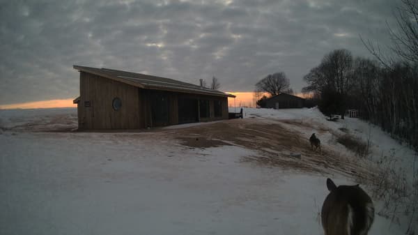 The field cam, Feb 8, 2026 at 2:54pm