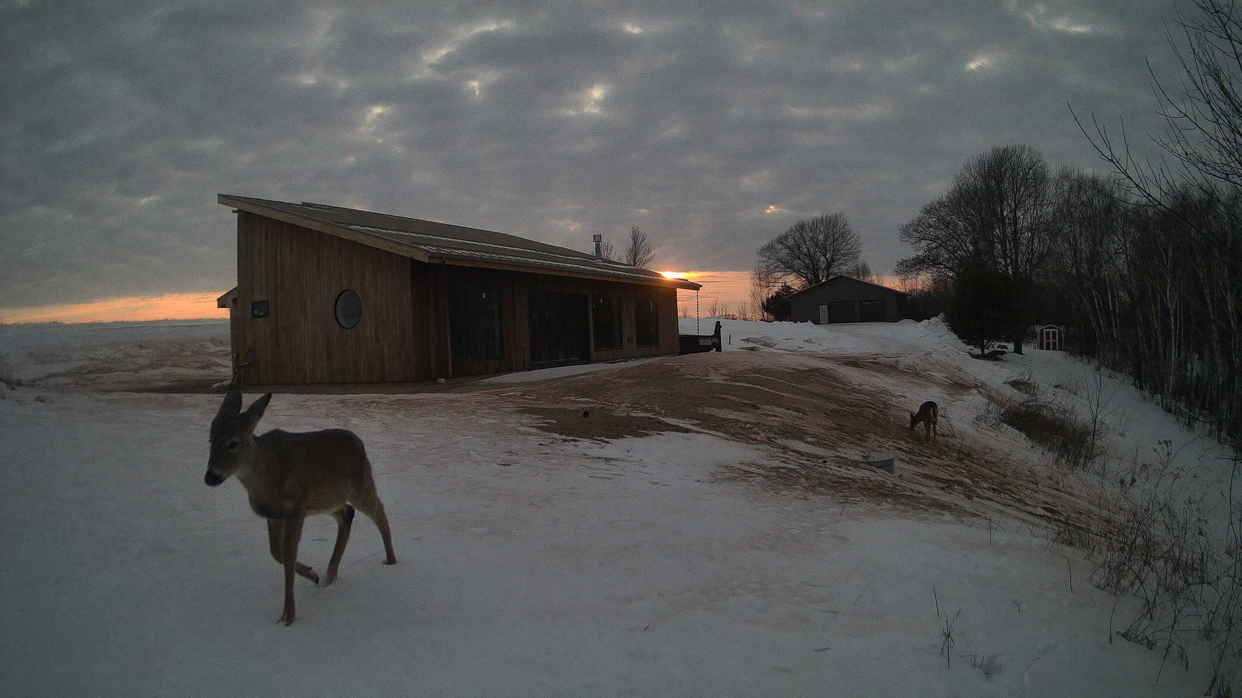 A photo from the field camera
