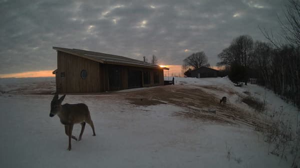 The field cam, Feb 8, 2026 at 2:57pm