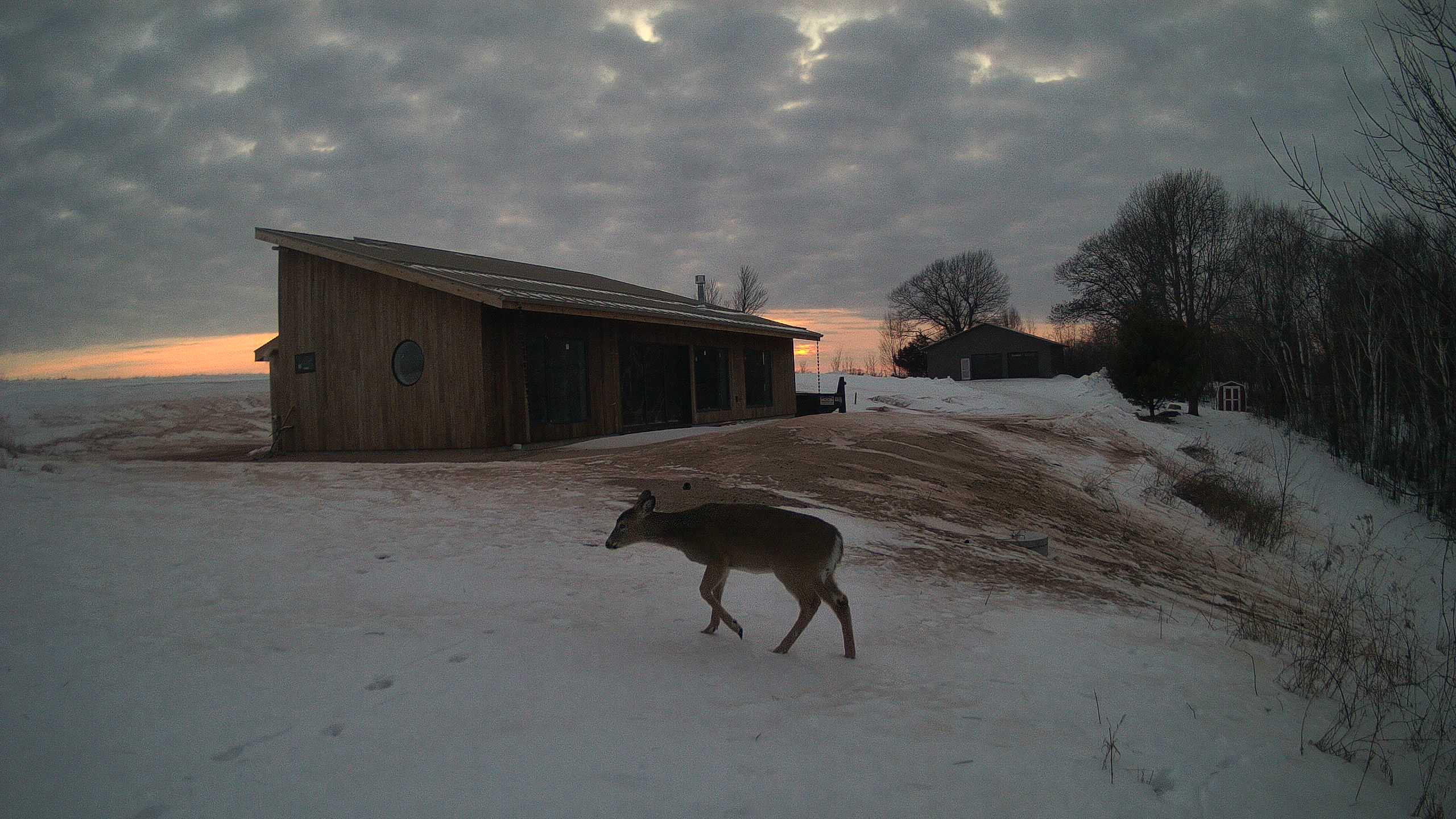 The field cam, Feb 8, 2026 at 3:03pm