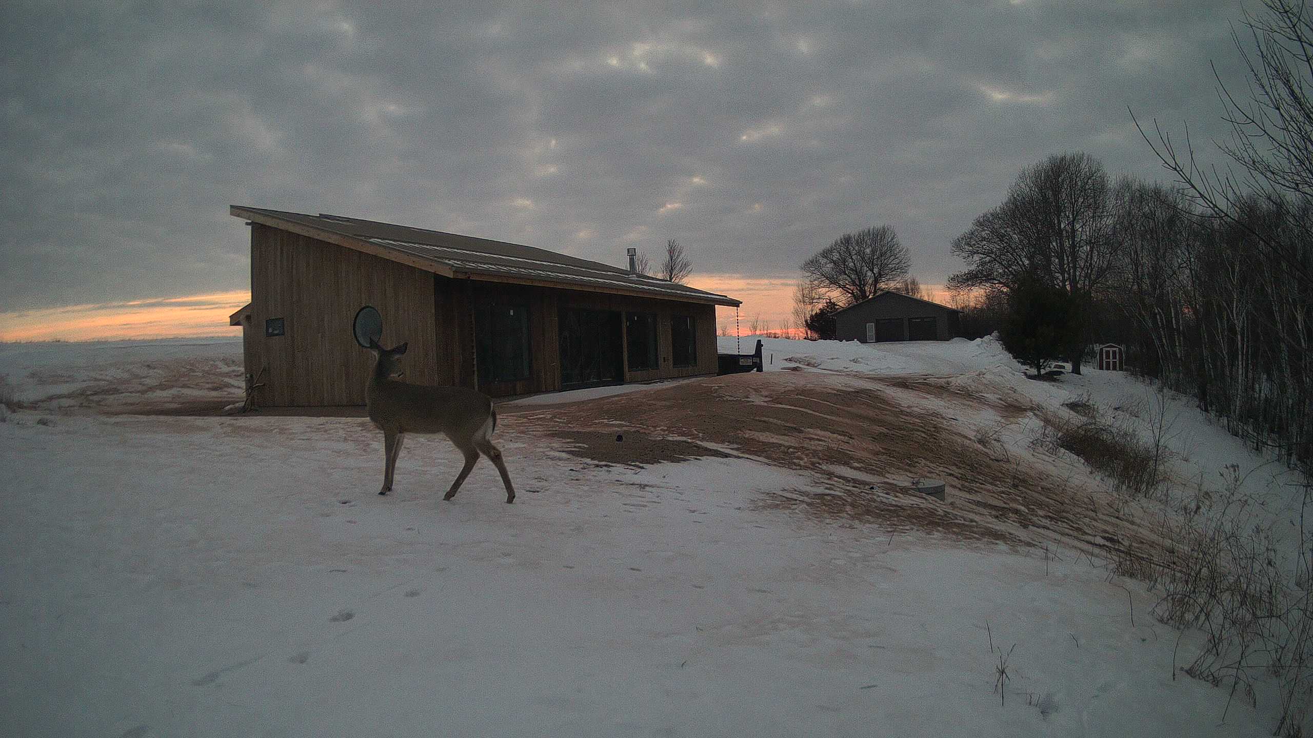 The field cam, Feb 8, 2026 at 3:08pm