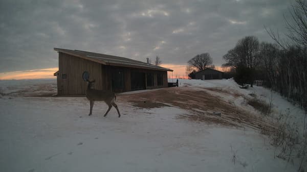 The field cam, Feb 8, 2026 at 3:08pm