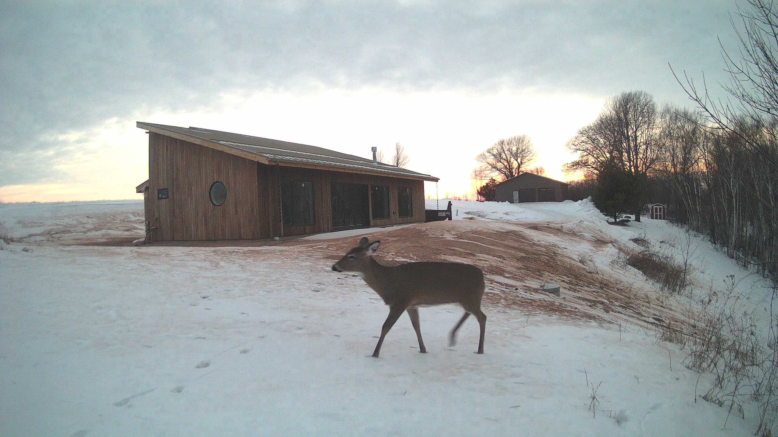 The field cam, Feb 8, 2026 at 3:36pm