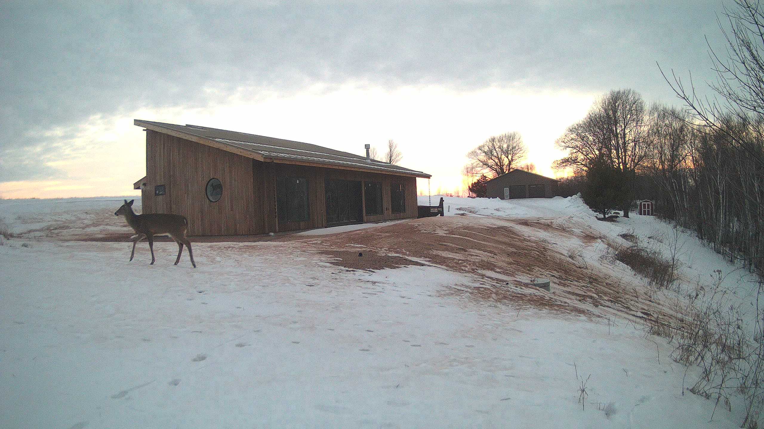 A photo from the field camera