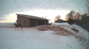 An older photo from the camera