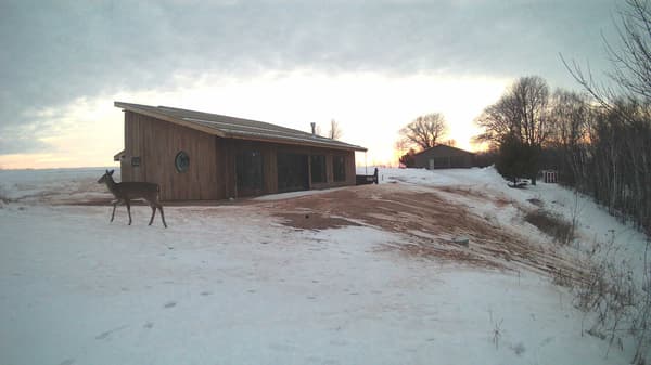 The field cam, Feb 8, 2026 at 3:36pm