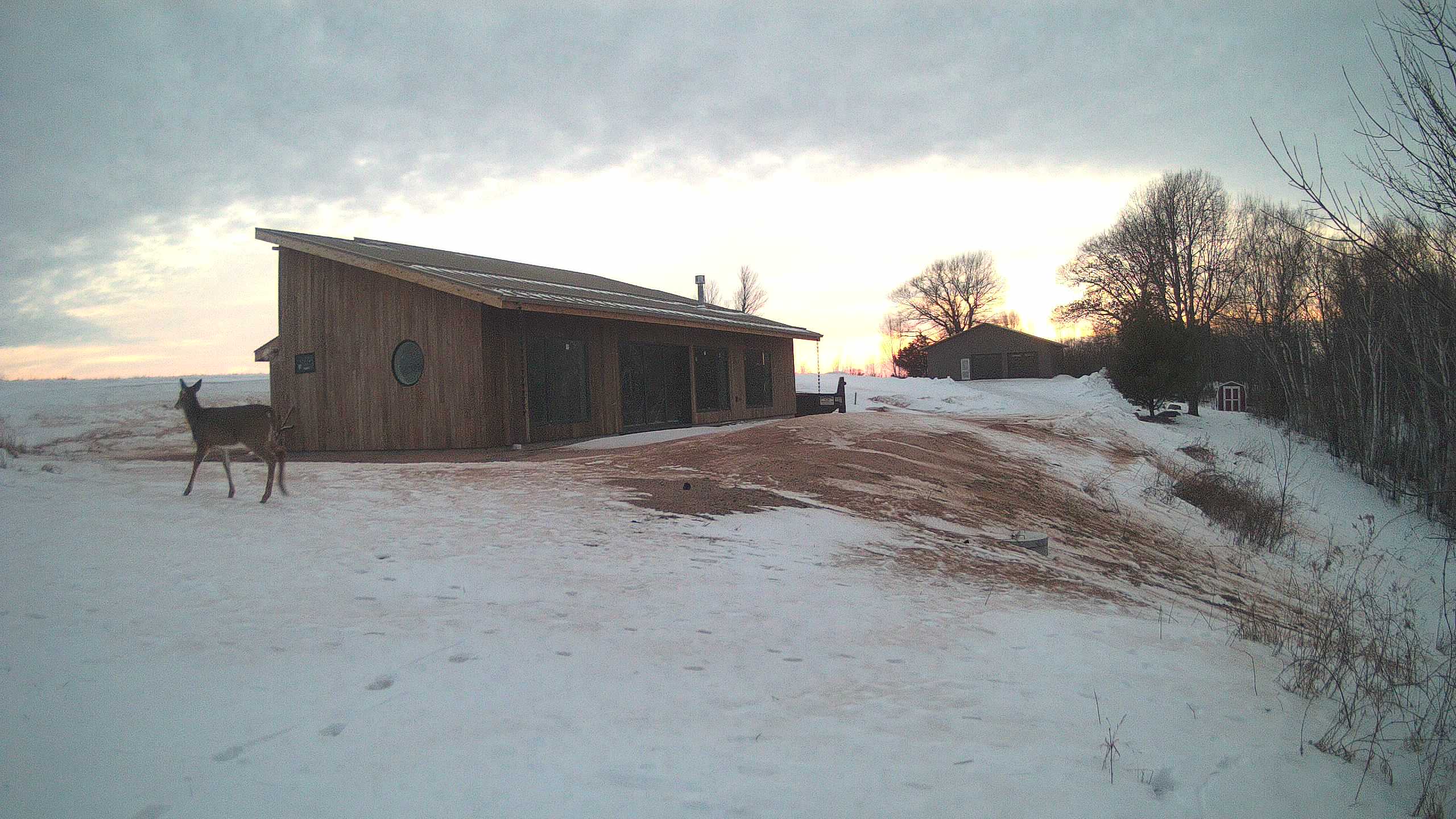 A photo from the field camera