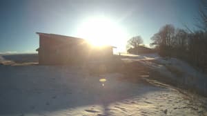 A newer photo from the camera