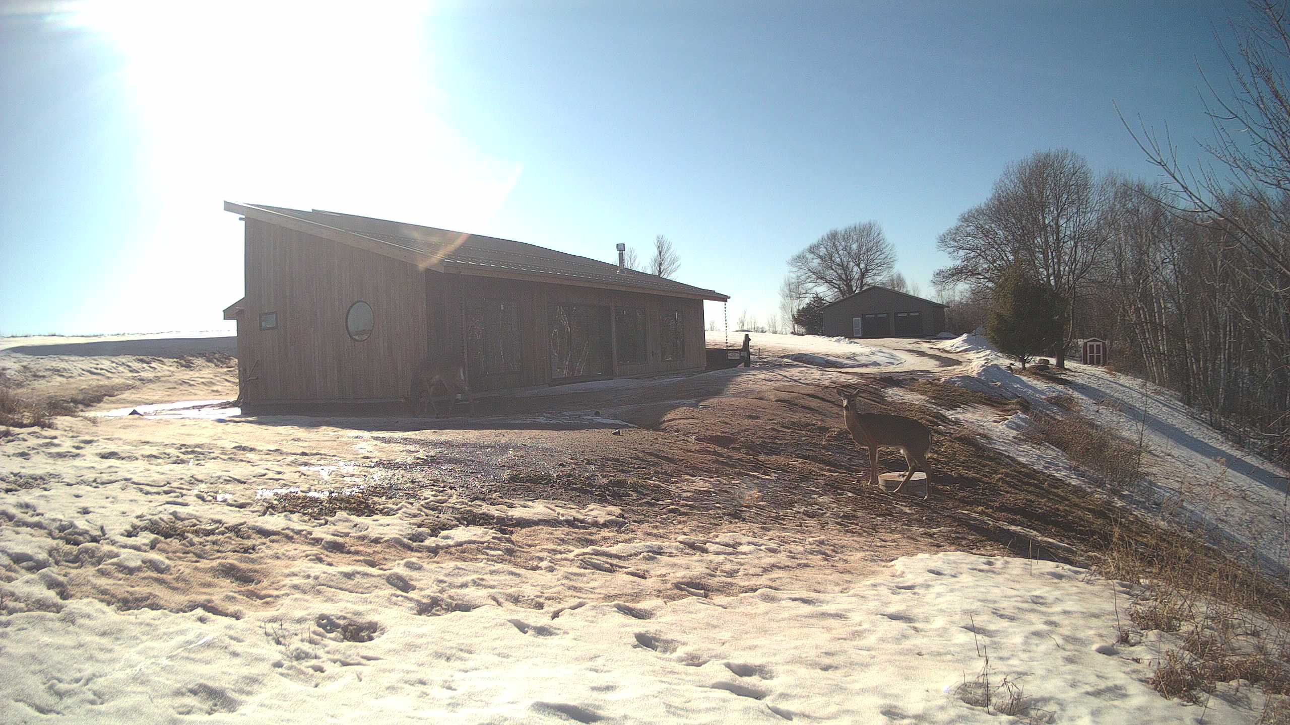 A photo from the field camera