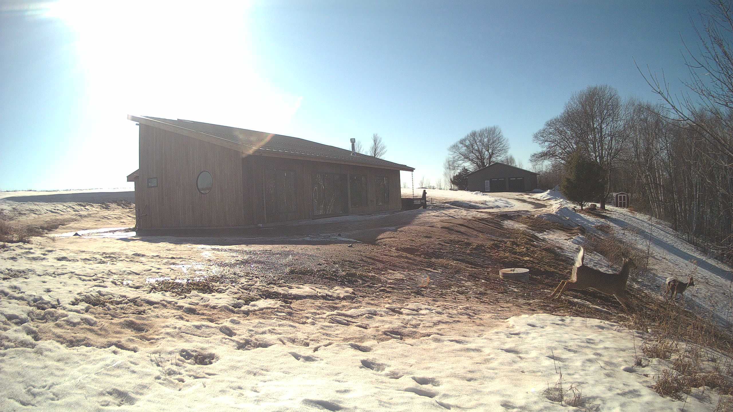 A photo from the field camera