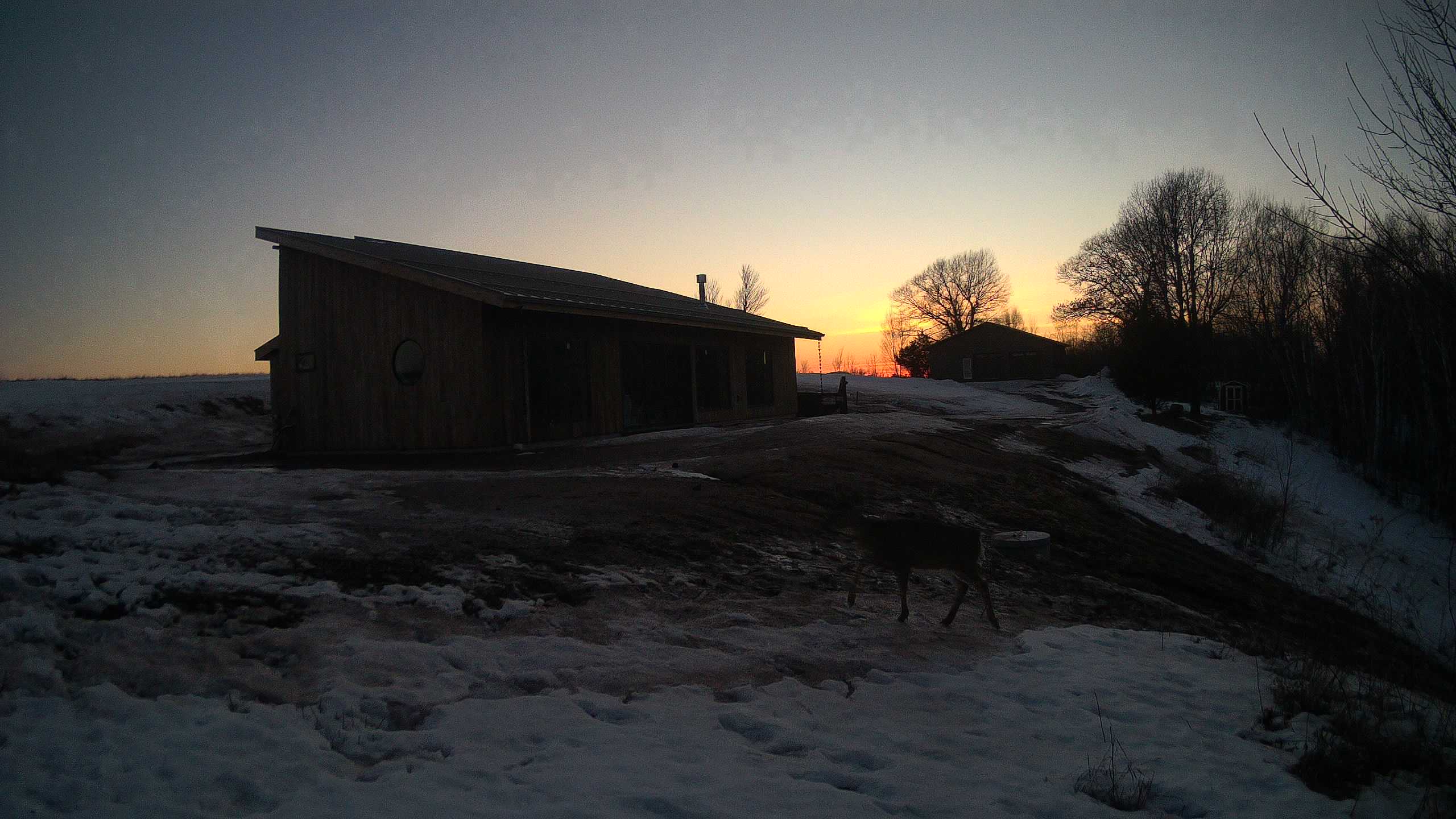 A photo from the field camera