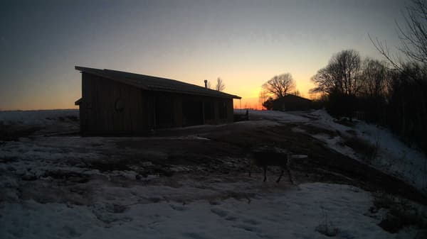 The field cam, Feb 14, 2026 at 3:37pm