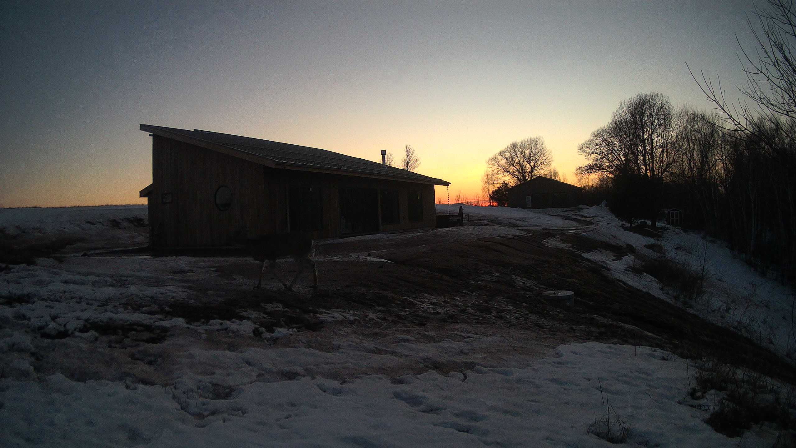 A photo from the field camera