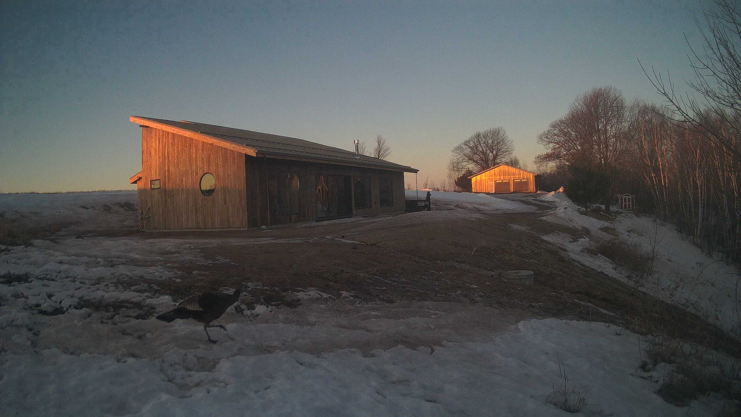 A photo from the field camera