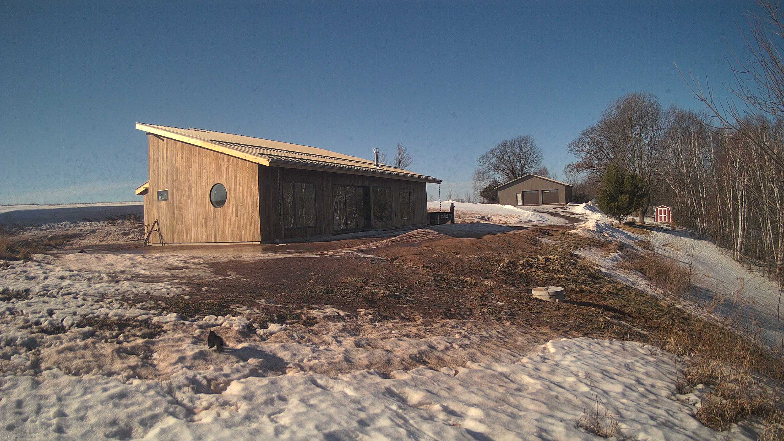 A photo from the field camera