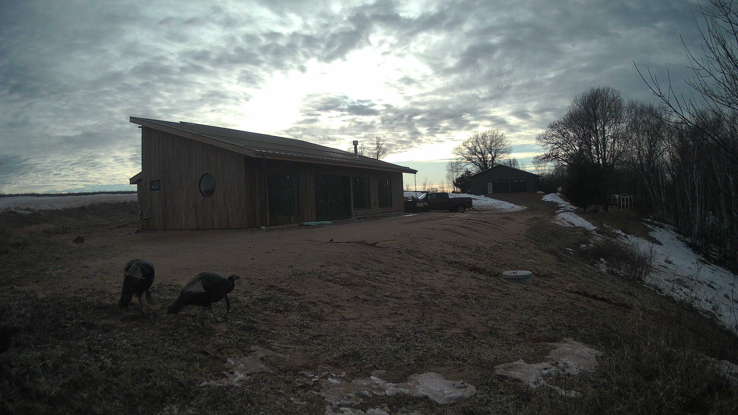 A photo from the field camera