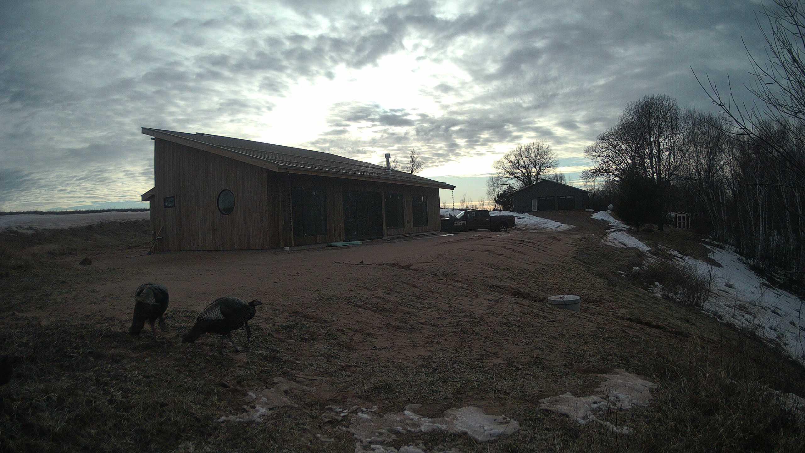 The field cam, February