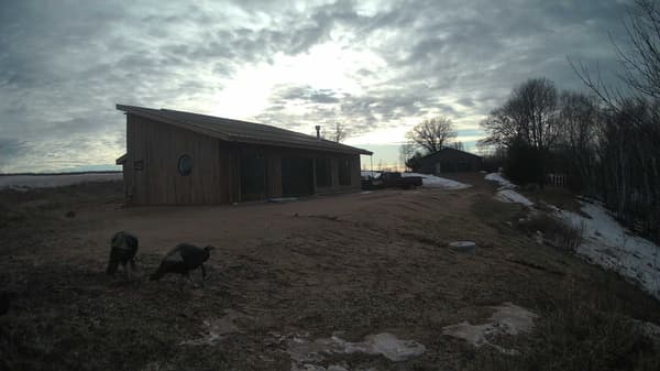 The field cam, Feb 23, 2026 at 2:16pm