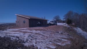 A newer photo from the camera