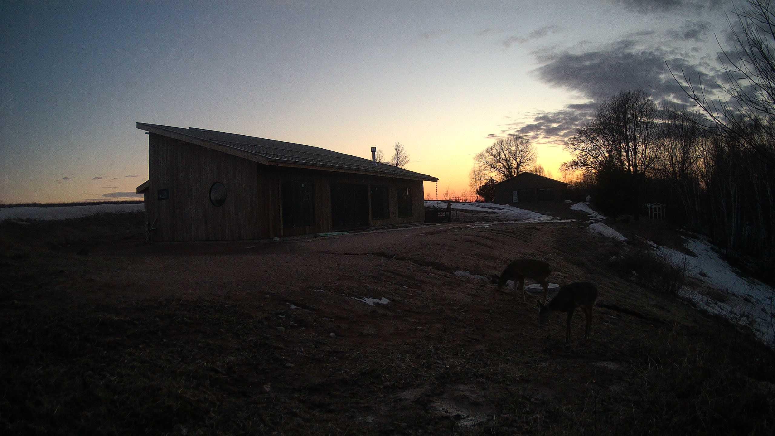 The field cam, Feb 26, 2026 at 3:53pm