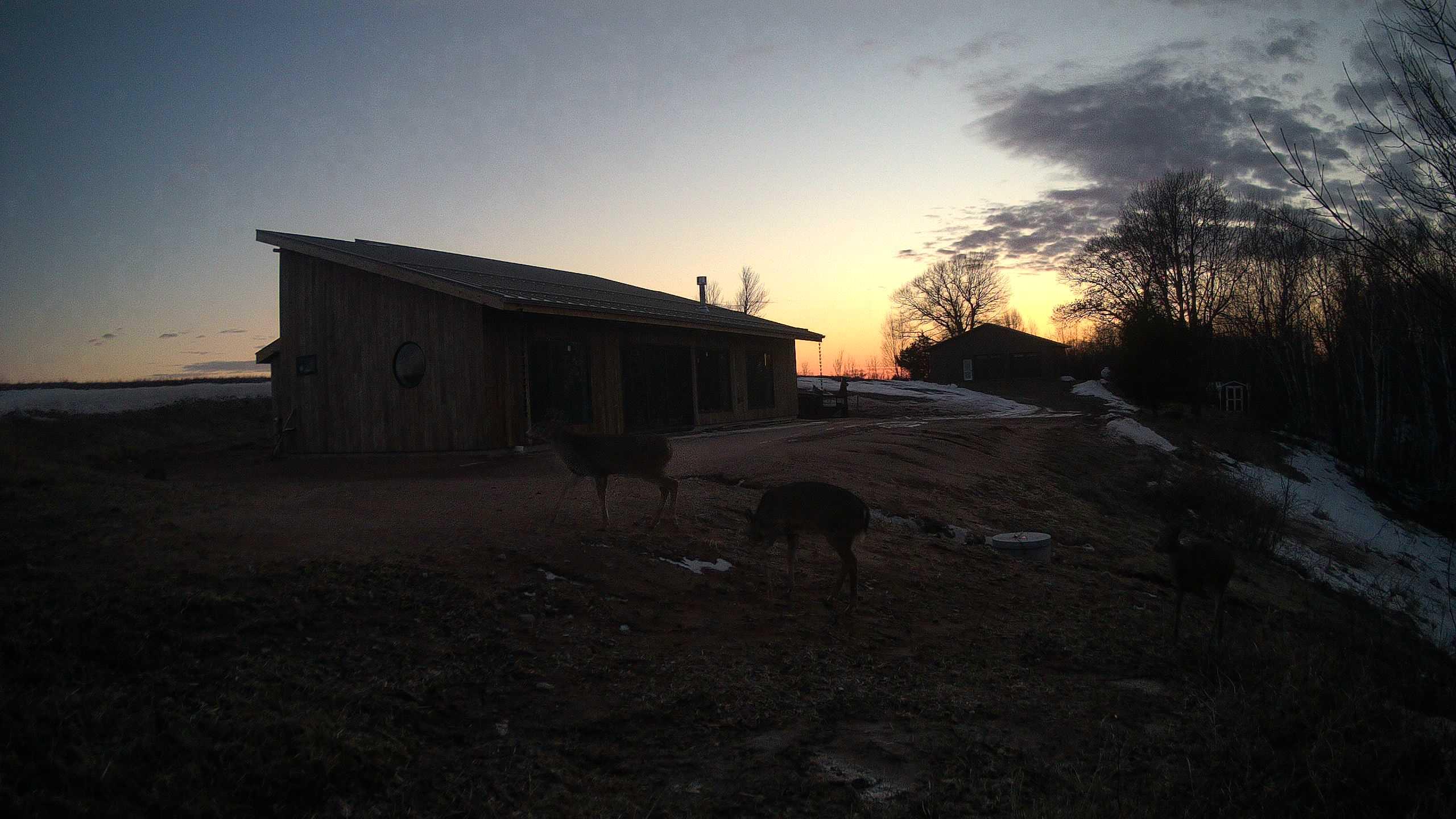 The field cam, Feb 26, 2026 at 3:53pm